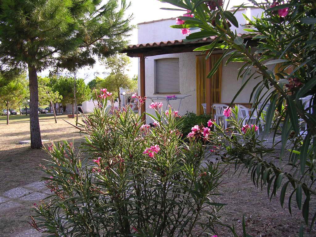 Residence Varantur Cagnano Varano Esterno foto